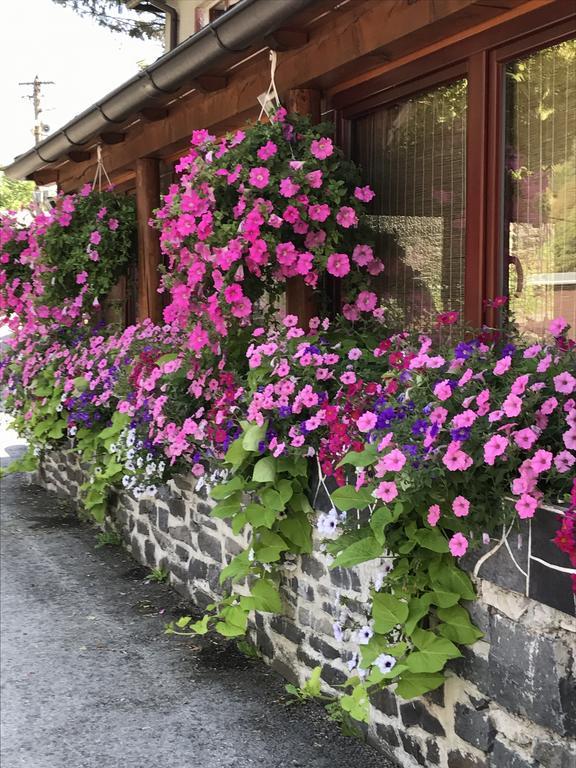 Penzion Holub Tajó Kültér fotó
